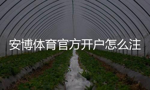 安博体育官方开户怎么注册？官方开户流程、认证步骤与新手注意事项