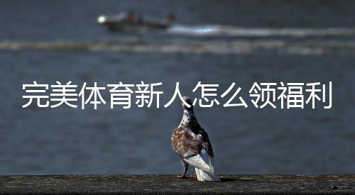 完美体育新人怎么领福利？注册、首存与优惠码领取详细攻略
