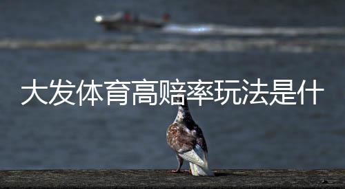 大发体育高赔率玩法是什么意思?新手投注攻略、提效技巧与风险控制详解