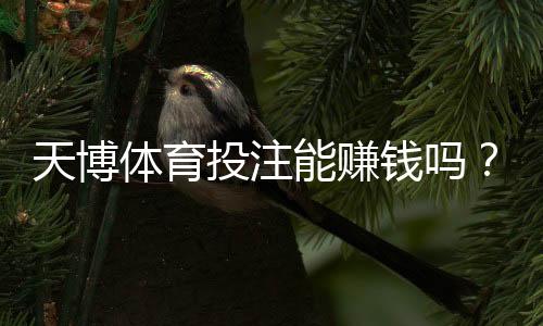 天博体育投注能赚钱吗?真实盈利可能性、技巧与风险全解析