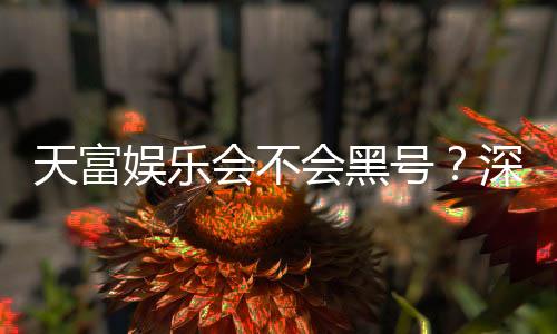 天富娱乐会不会黑号?深度解析平台安全性与防黑技巧