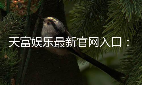 天富娱乐最新官网入口:畅享顶级棋牌电游的尊贵体验