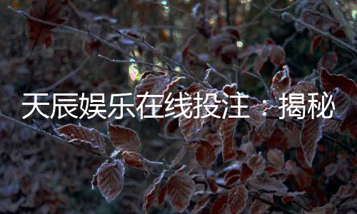 天辰娱乐在线投注:揭秘高胜率玩家的投注技巧与实战心得