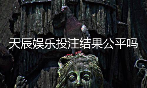 天辰娱乐投注结果公平吗?真实玩家经验分享与平台机制解析