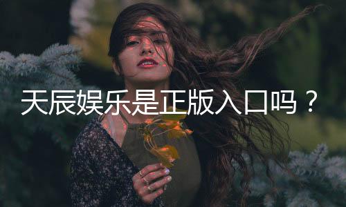 天辰娱乐是正版入口吗？资深玩家揭秘平台安全性与游戏体验