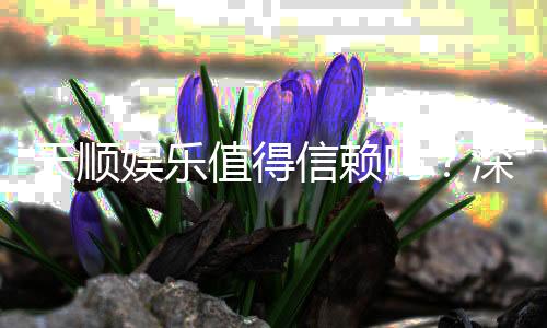 天顺娱乐值得信赖吗？深度解析平台安全性与玩家真实体验