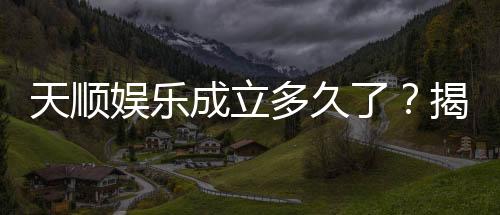 天顺娱乐成立多久了？揭秘其发展历程与品牌故事