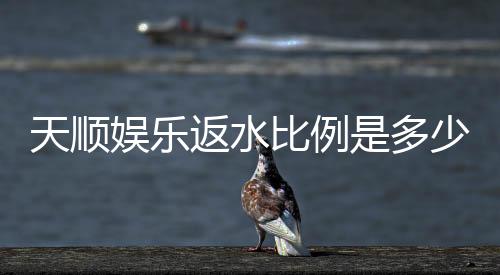 天顺娱乐返水比例是多少?揭秘高返水福利与实战技巧