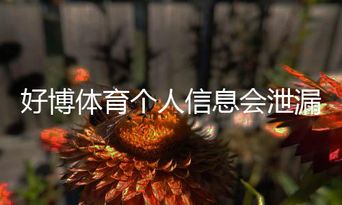 好博体育个人信息会泄漏吗？隐私风险真相与防护全攻略