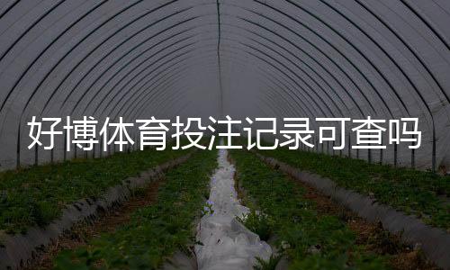 好博体育投注记录可查吗？官方查询、第三方取证与隐私注意事项