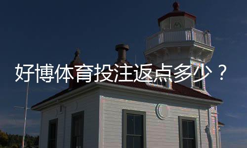 好博体育投注返点多少？最新返点比例、计算方法与领取攻略