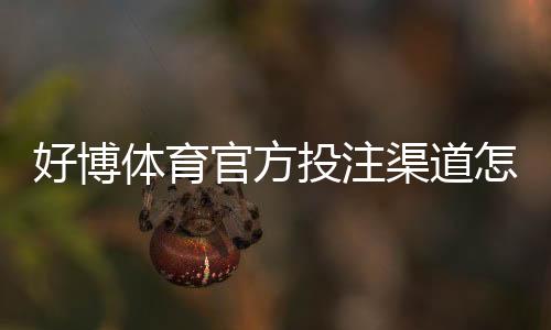 好博体育官方投注渠道怎么找？正规入口、注册充值与安全识别完整指南