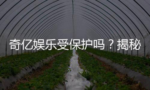 奇亿娱乐受保护吗?揭秘平台安全性与玩家保障措施