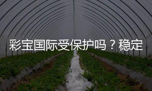 彩宝国际受保护吗？稳定有利益保障吗？