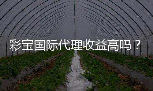 彩宝国际代理收益高吗？探究实情