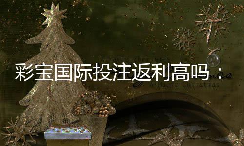 彩宝国际投注返利高吗:一探真相