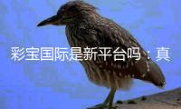 彩宝国际是新平台吗：真实还是虚假？