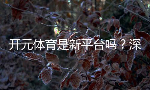 开元体育是新平台吗？深度解析其背景与游戏特色
