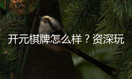 开元棋牌怎么样?资深玩家带你全面评测平台优劣势
