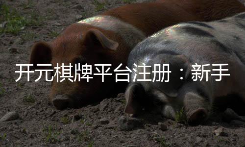开元棋牌平台注册:新手必看的安全注册流程与游戏攻略