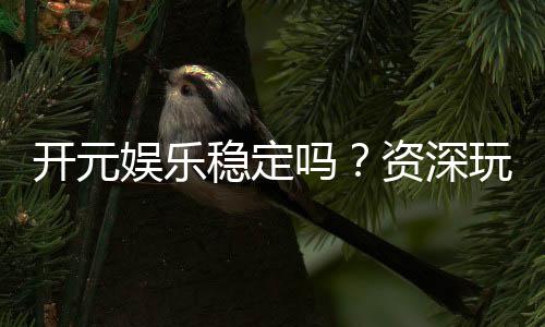 开元娱乐稳定吗？资深玩家实测解析平台稳定性与体验