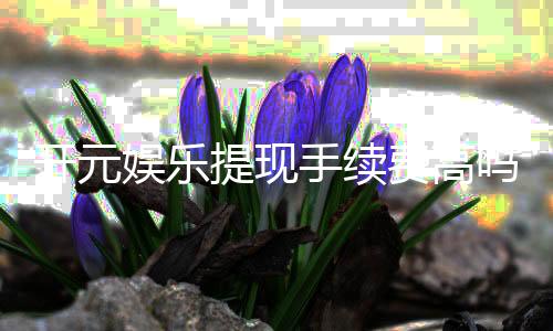 开元娱乐提现手续费高吗？资深玩家解析费用详情与省费技巧