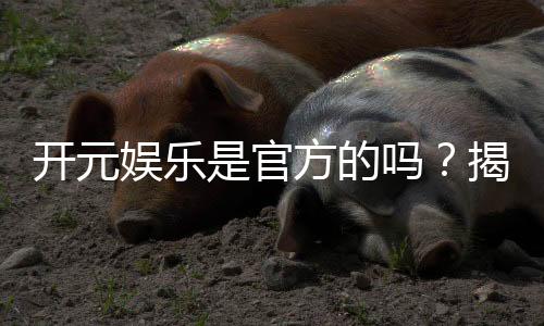 开元娱乐是官方的吗？揭秘平台背景与安全认证详情