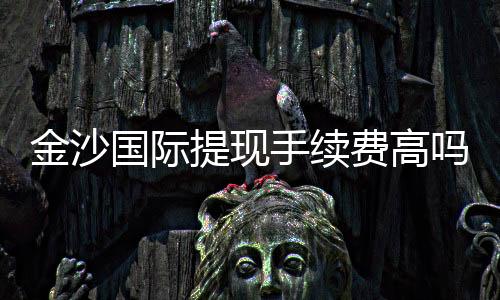 金沙国际提现手续费高吗?资深玩家解析费用详情与应对技巧