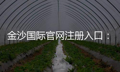 金沙国际官网注册入口:畅享豪华娱乐体验与独家优惠