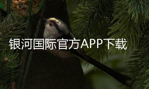 银河国际官方APP下载：畅享顶级棋牌与电子游艺的豪华体验