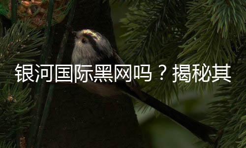 银河国际黑网吗?揭秘其真伪与玩家安全指南