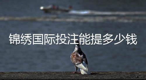锦绣国际投注能提多少钱?揭开神秘面纱!