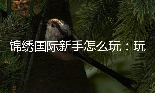 锦绣国际新手怎么玩:玩家必读攻略