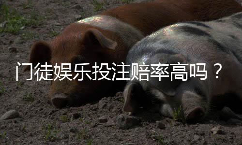 门徒娱乐投注赔率高吗？深度解析平台赔率优势与实战策略