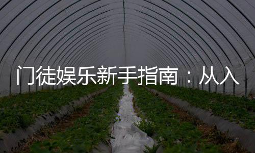门徒娱乐新手指南：从入门到精通的完整攻略