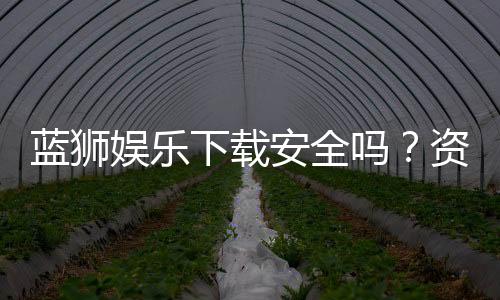 蓝狮娱乐下载安全吗?资深玩家实测安全性与下载指南