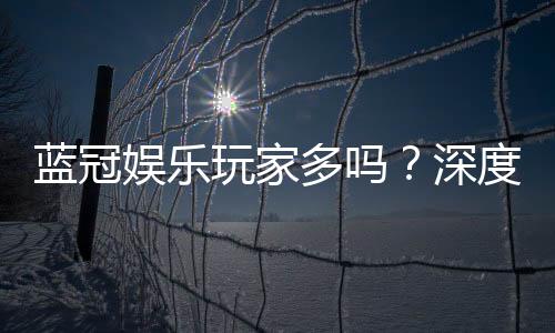 蓝冠娱乐玩家多吗？深度解析平台人气与玩家真实体验