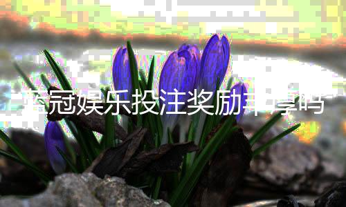 蓝冠娱乐投注奖励丰厚吗？深度解析其高回报活动与玩家实测反馈