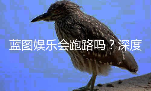 蓝图娱乐会跑路吗?深度解析平台稳定性与玩家资金安全