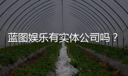 蓝图娱乐有实体公司吗?深入解析其线下运营与资质背景