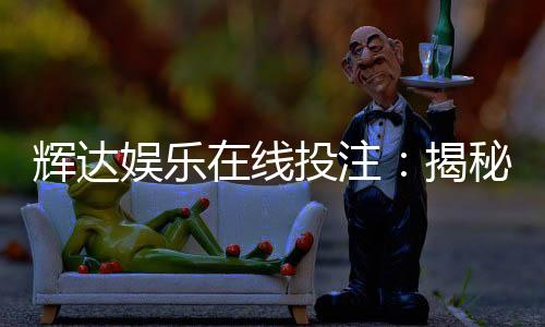 辉达娱乐在线投注：揭秘高胜率玩家的实战技巧与策略