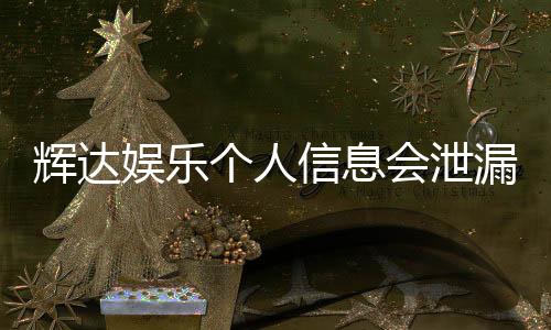 辉达娱乐个人信息会泄漏吗？深度解析平台安全性与防护措施