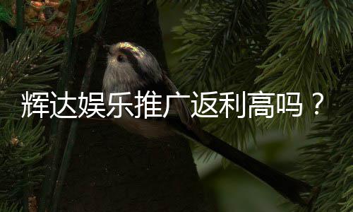 辉达娱乐推广返利高吗?深度解析返利政策与实战技巧