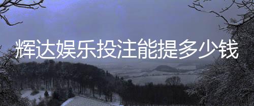 辉达娱乐投注能提多少钱?揭秘提款额度与到账规则
