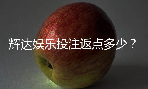 辉达娱乐投注返点多少?揭秘高返水福利与实战技巧