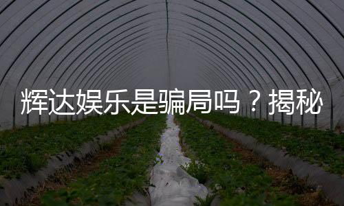 辉达娱乐是骗局吗?揭秘其真实性与玩家体验