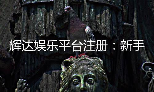 辉达娱乐平台注册：新手必看的高效注册流程与优惠指南