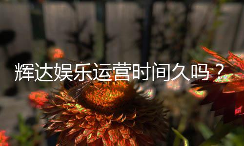 辉达娱乐运营时间久吗？资深玩家为你解析平台历史与稳定性