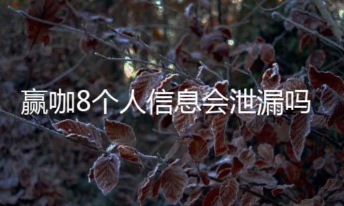 赢咖8个人信息会泄漏吗？深度解析平台安全防护措施