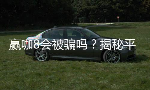 赢咖8会被骗吗?揭秘平台安全性及防骗技巧